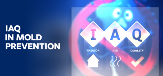 Role of Indoor Air Quality in Mold Prevention