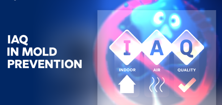 Role of Indoor Air Quality in Mold Prevention